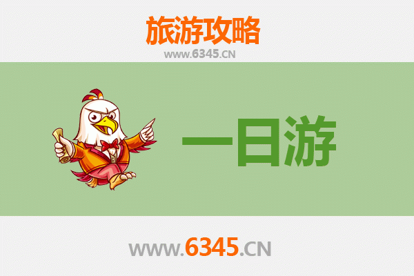 雅安自驾一日游攻略：雨城精华之旅，邂逅熊猫与茶香